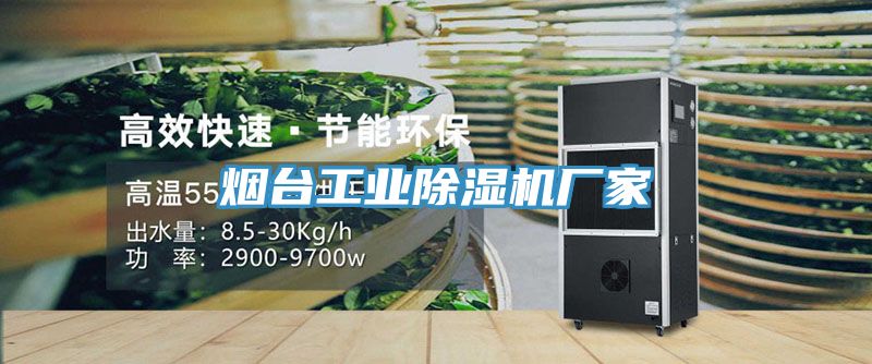 煙臺(tái)工業(yè)除濕機(jī)廠家