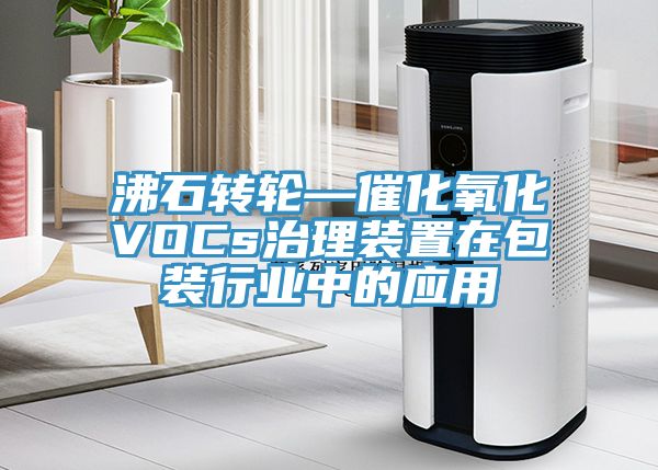 沸石轉輪—催化氧化VOCs治理裝置在包裝行業(yè)中的應用
