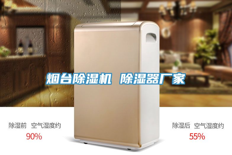 煙臺(tái)除濕機(jī) 除濕器廠家