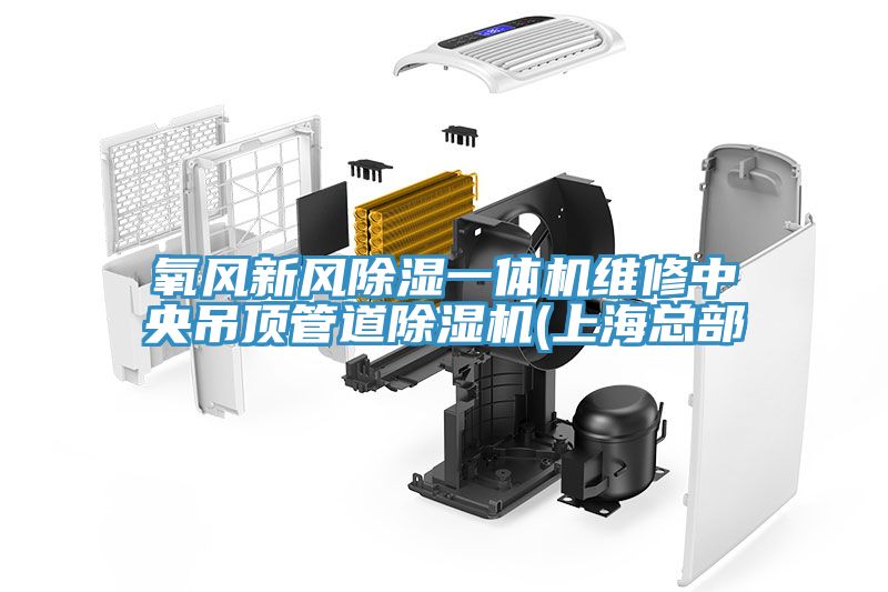 氧風新風除濕一體機維修中央吊頂管道除濕機(上?？偛?></div>
								<div   id=