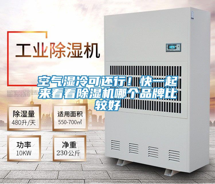 空氣濕冷可還行！快一起來(lái)看看除濕機(jī)哪個(gè)品牌比較好