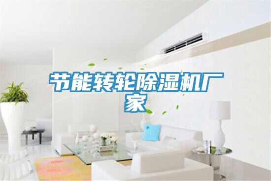 節(jié)能轉(zhuǎn)輪除濕機廠家
