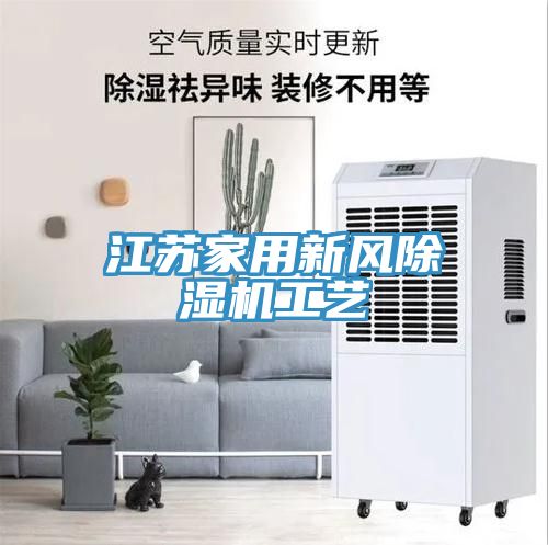江蘇家用新風(fēng)除濕機工藝