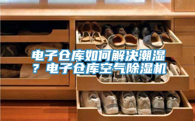 電子倉(cāng)庫(kù)如何解決潮濕？電子倉(cāng)庫(kù)空氣除濕機(jī)