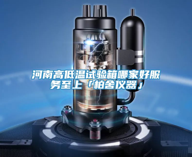 河南高低溫試驗箱哪家好服務至上「柏舍儀器」