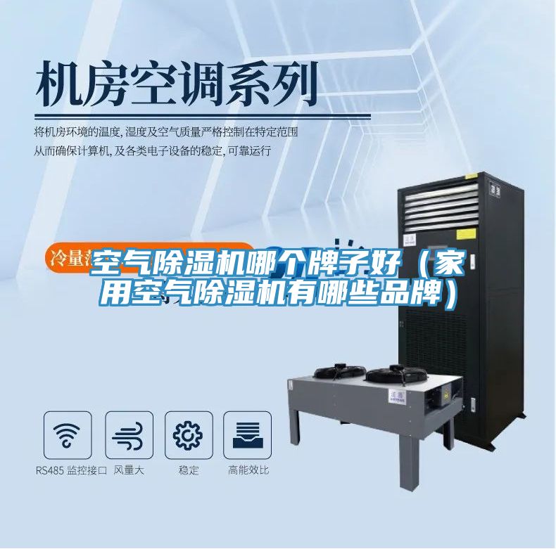空氣除濕機哪個牌子好（家用空氣除濕機有哪些品牌）