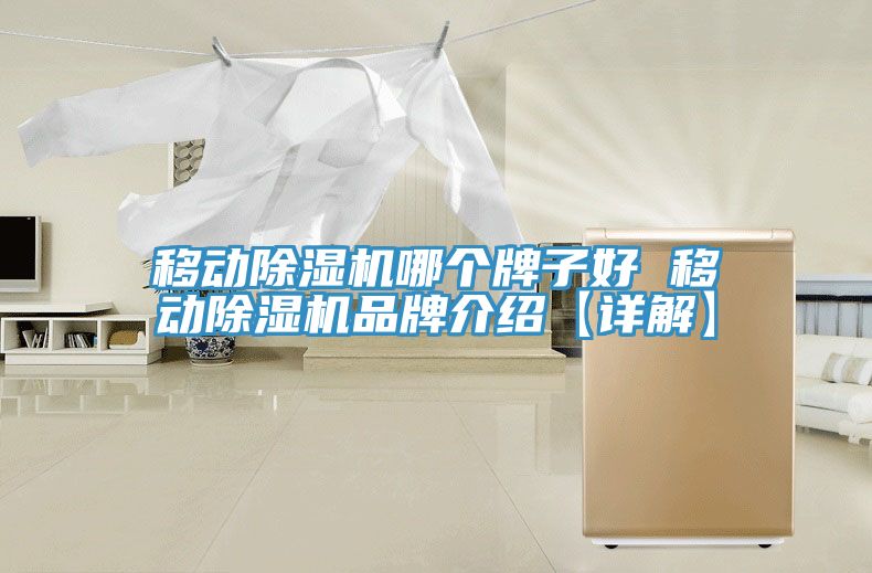 移動(dòng)除濕機(jī)哪個(gè)牌子好 移動(dòng)除濕機(jī)品牌介紹【詳解】