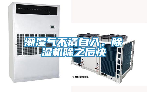 潮濕氣不請(qǐng)自入，除濕機(jī)除之后快
