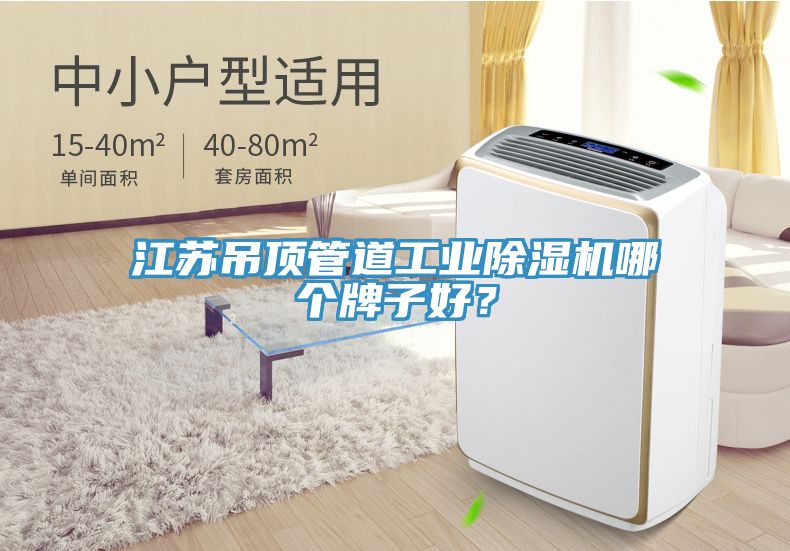 江蘇吊頂管道工業(yè)除濕機哪個牌子好？