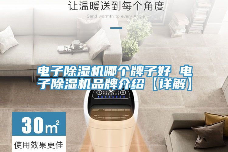 電子除濕機(jī)哪個牌子好 電子除濕機(jī)品牌介紹【詳解】