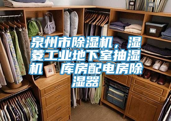 泉州市除濕機，濕菱工業(yè)地下室抽濕機  庫房配電房除濕器