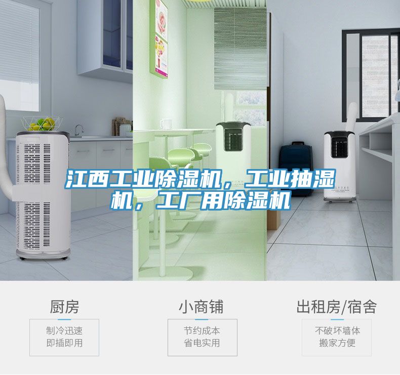 江西工業(yè)除濕機(jī)，工業(yè)抽濕機(jī)，工廠用除濕機(jī)