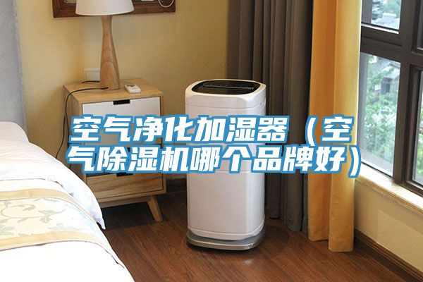 空氣凈化加濕器（空氣除濕機(jī)哪個(gè)品牌好）