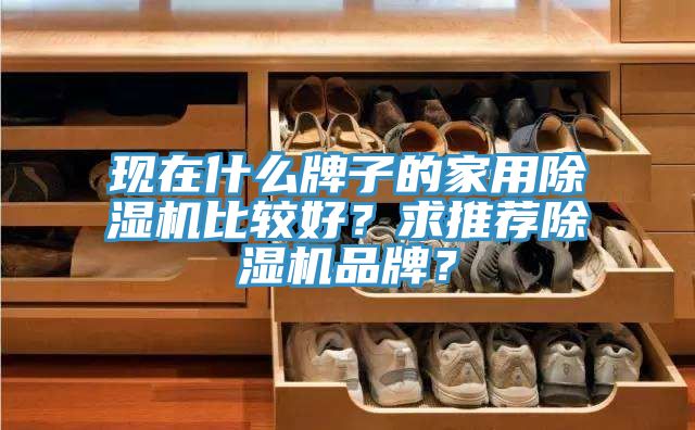 現(xiàn)在什么牌子的家用除濕機比較好？求推薦除濕機品牌？