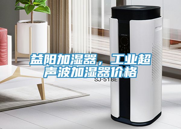 益陽加濕器，工業(yè)超聲波加濕器價(jià)格