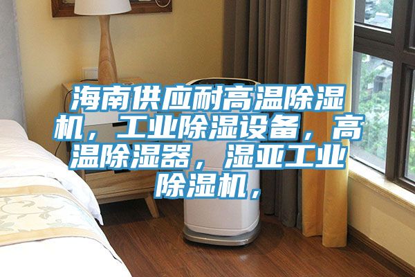 海南供應(yīng)耐高溫除濕機，工業(yè)除濕設(shè)備，高溫除濕器，濕亞工業(yè)除濕機，
