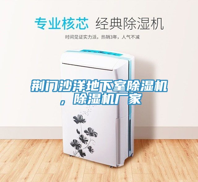 荊門沙洋地下室除濕機，除濕機廠家