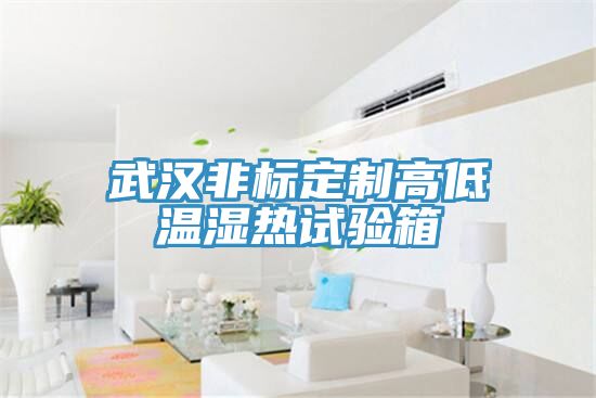 武漢非標(biāo)定制高低溫濕熱試驗(yàn)箱