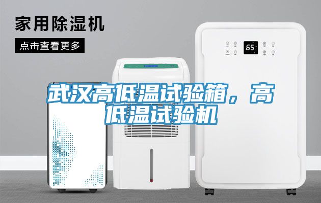 武漢高低溫試驗(yàn)箱，高低溫試驗(yàn)機(jī)
