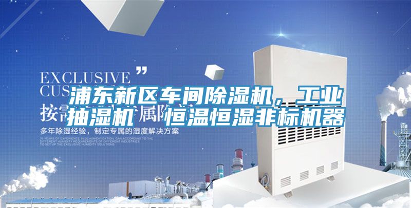浦東新區(qū)車間除濕機，工業(yè)抽濕機  恒溫恒濕非標(biāo)機器