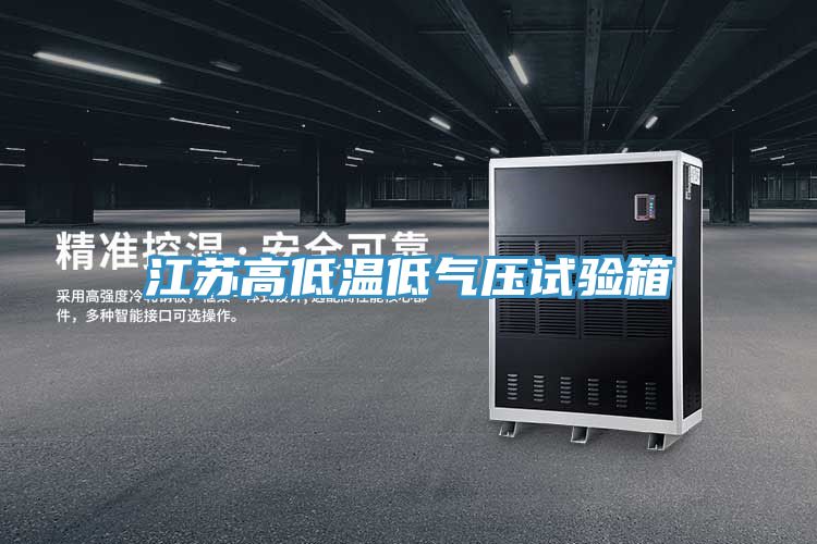 江蘇高低溫低氣壓試驗箱