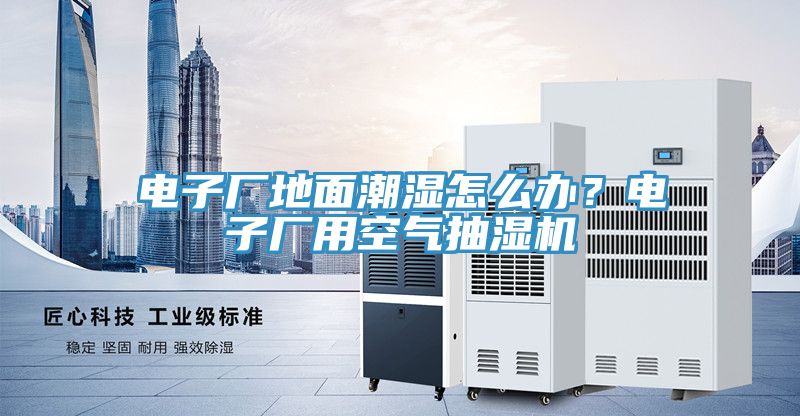 電子廠地面潮濕怎么辦？電子廠用空氣抽濕機(jī)