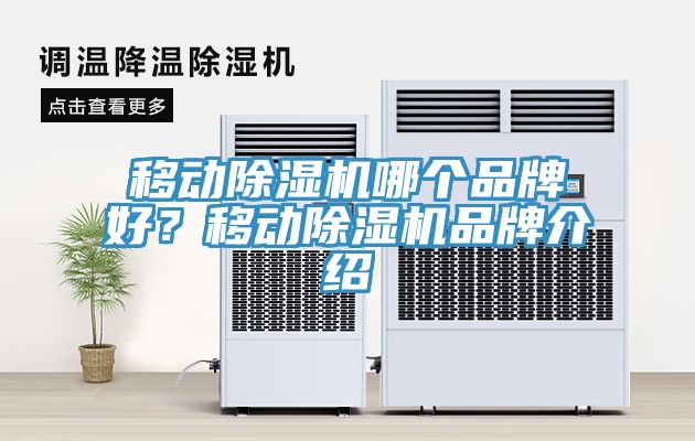移動(dòng)除濕機(jī)哪個(gè)品牌好？移動(dòng)除濕機(jī)品牌介紹