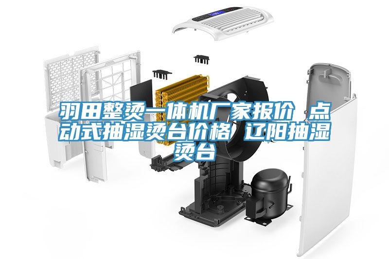 羽田整燙一體機(jī)廠家報價 點動式抽濕燙臺價格 遼陽抽濕燙臺