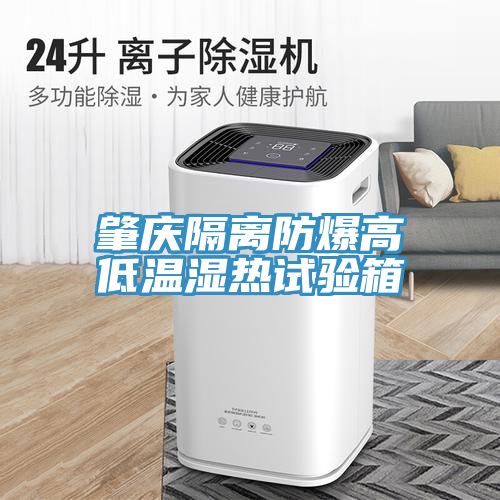 肇慶隔離防爆高低溫濕熱試驗箱