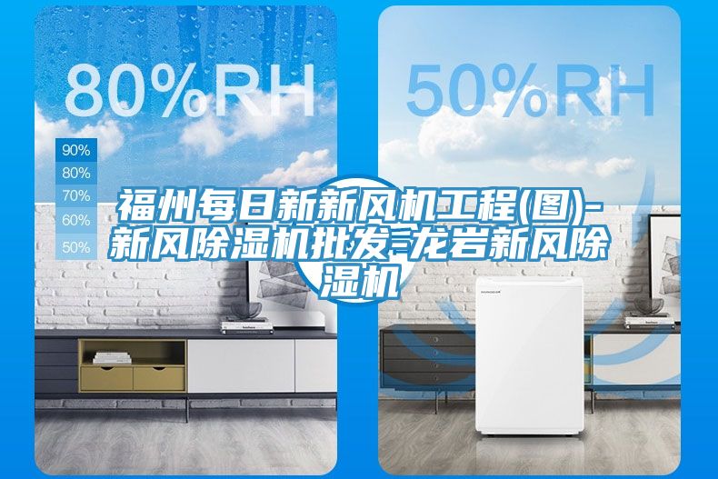 福州每日新新風(fēng)機工程(圖)-新風(fēng)除濕機批發(fā)-龍巖新風(fēng)除濕機