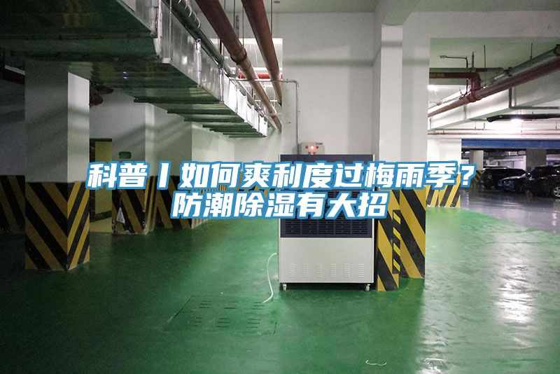 科普丨如何爽利度過梅雨季？防潮除濕有大招