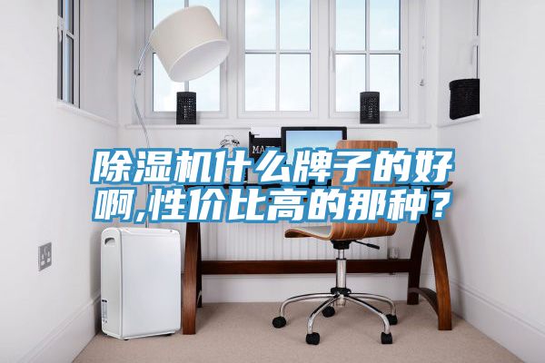 除濕機(jī)什么牌子的好啊,性價(jià)比高的那種？