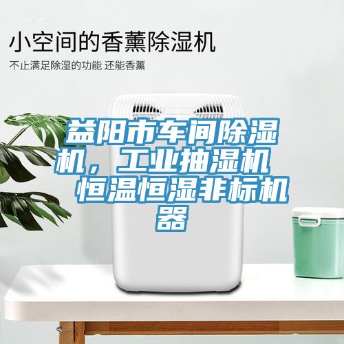 益陽市車間除濕機(jī)，工業(yè)抽濕機(jī)  恒溫恒濕非標(biāo)機(jī)器