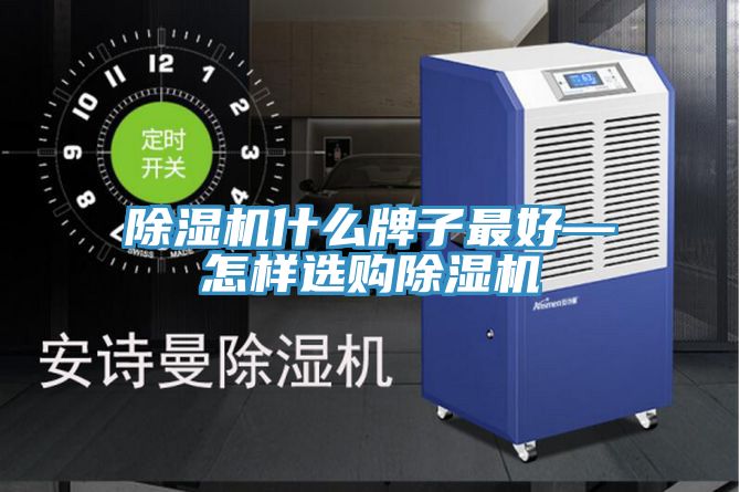 除濕機(jī)什么牌子最好—怎樣選購除濕機(jī)
