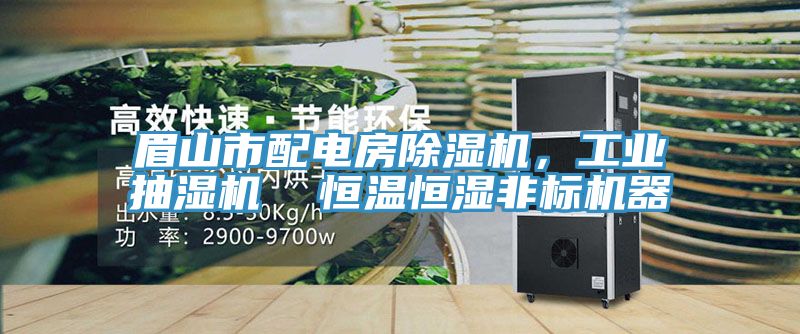 眉山市配電房除濕機(jī)，工業(yè)抽濕機(jī)  恒溫恒濕非標(biāo)機(jī)器