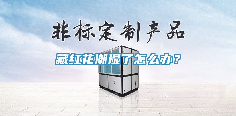 藏紅花潮濕了怎么辦？