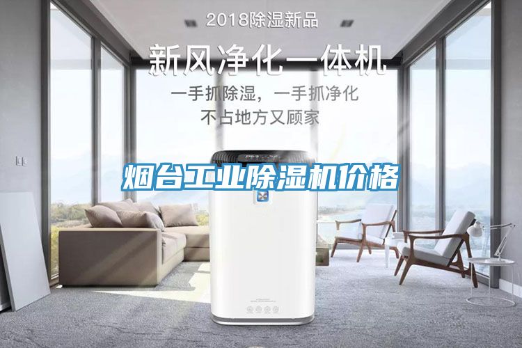 煙臺(tái)工業(yè)除濕機(jī)價(jià)格