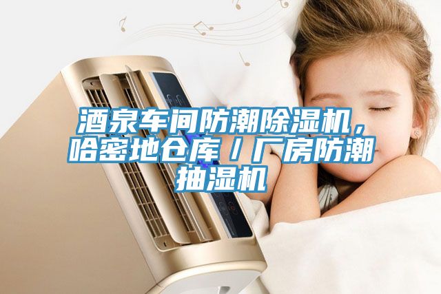 酒泉車間防潮除濕機(jī)，哈密地倉(cāng)庫(kù)／廠房防潮抽濕機(jī)