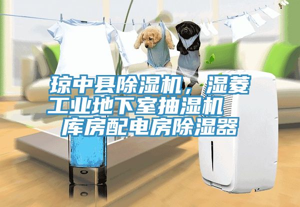 瓊中縣除濕機(jī)，濕菱工業(yè)地下室抽濕機(jī)  庫房配電房除濕器