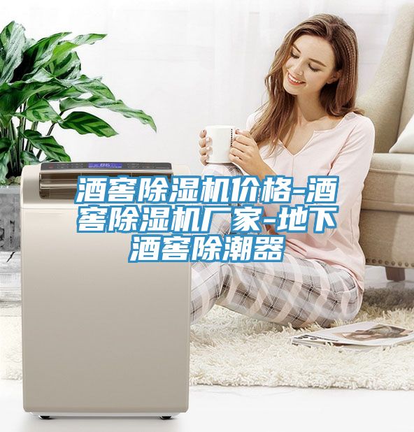 酒窖除濕機(jī)價格-酒窖除濕機(jī)廠家-地下酒窖除潮器