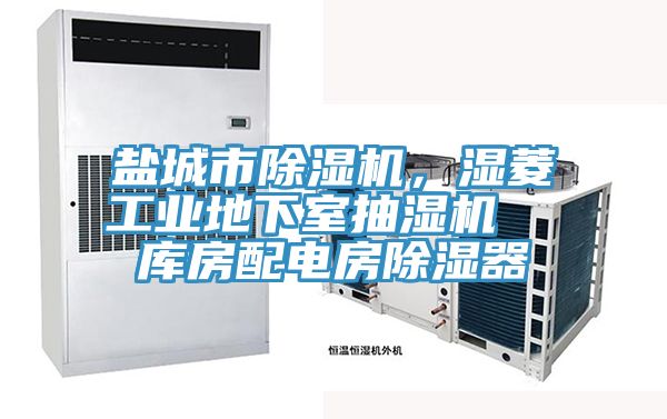 鹽城市除濕機(jī)，濕菱工業(yè)地下室抽濕機(jī)  庫房配電房除濕器