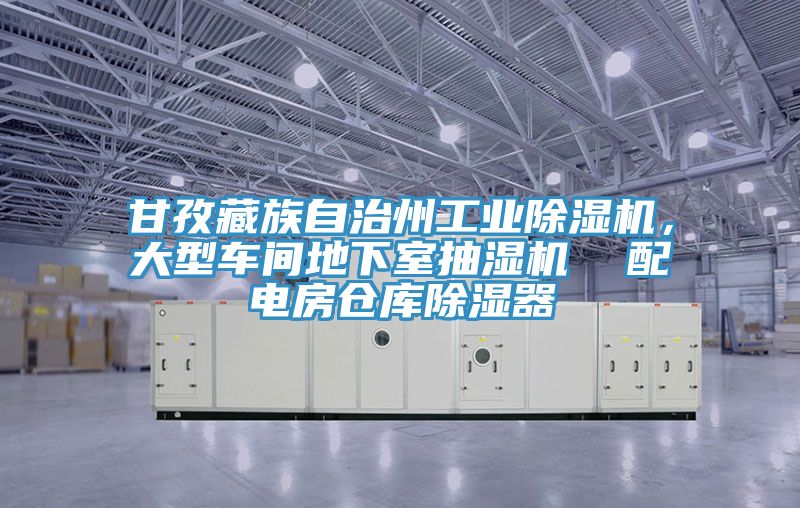 甘孜藏族自治州工業(yè)除濕機，大型車間地下室抽濕機  配電房倉庫除濕器