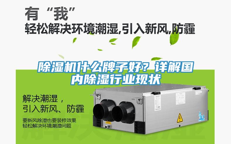 除濕機(jī)什么牌子好？詳解國(guó)內(nèi)除濕行業(yè)現(xiàn)狀
