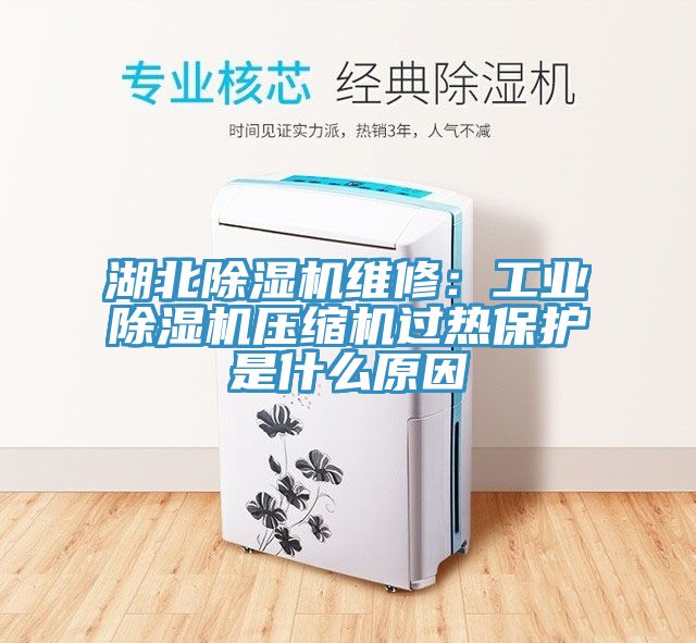湖北除濕機(jī)維修：工業(yè)除濕機(jī)壓縮機(jī)過(guò)熱保護(hù)是什么原因
