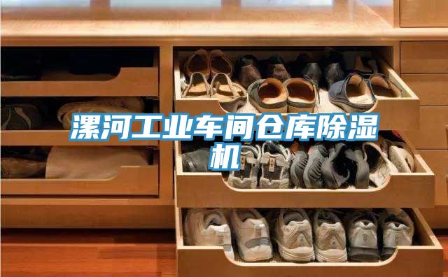 漯河工業(yè)車間倉庫除濕機(jī)