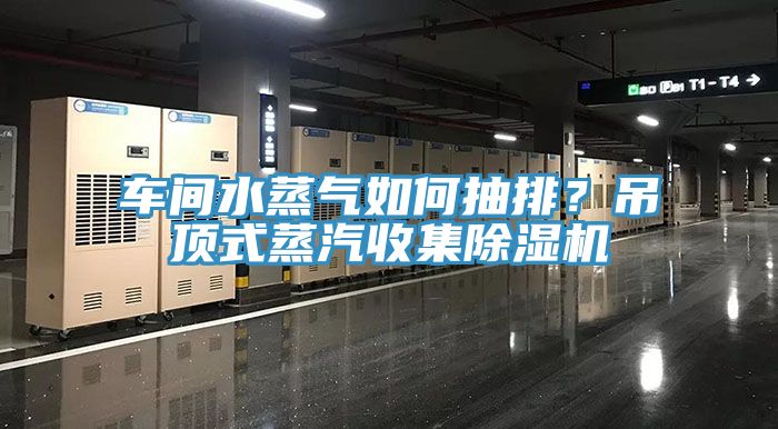 車間水蒸氣如何抽排？吊頂式蒸汽收集除濕機