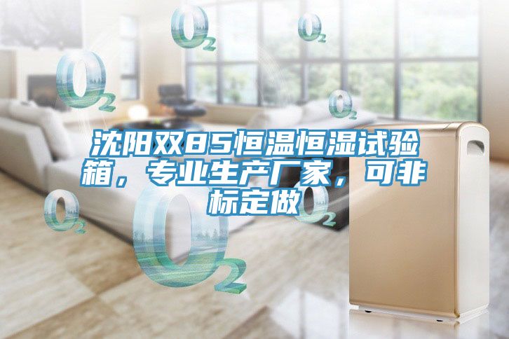 沈陽(yáng)雙85恒溫恒濕試驗(yàn)箱，專業(yè)生產(chǎn)廠家，可非標(biāo)定做