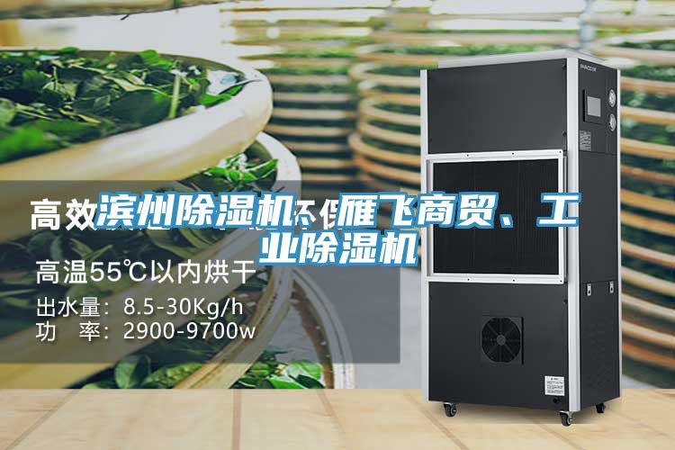 濱州除濕機(jī)、雁飛商貿(mào)、工業(yè)除濕機(jī)