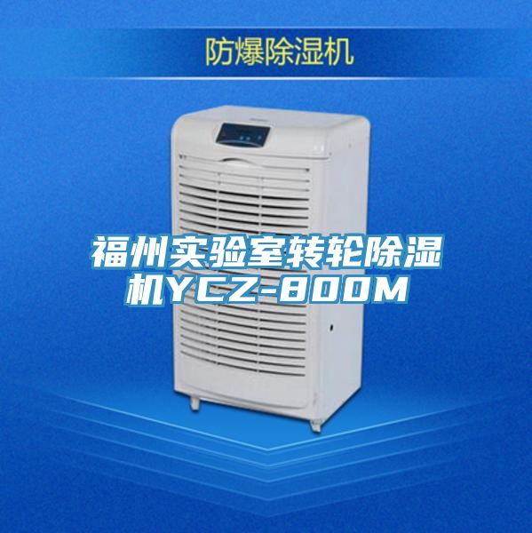 福州實驗室轉(zhuǎn)輪除濕機YCZ-800M