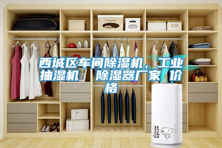 西城區(qū)車間除濕機(jī)，工業(yè)抽濕機(jī)  除濕器廠家 價(jià)格